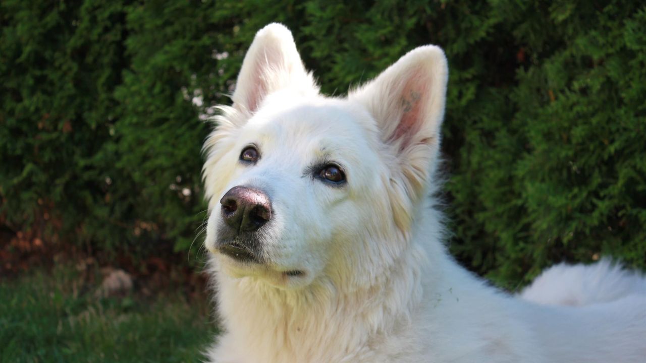 Das war unsere Makala Das war unsere Makala